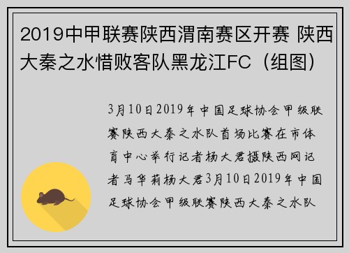 2019中甲联赛陕西渭南赛区开赛 陕西大秦之水惜败客队黑龙江FC（组图）